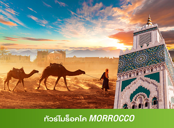 ทัวร์โมรอคโค Tour Morocco
